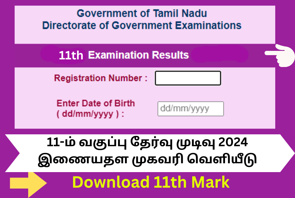 TN 11th Result 2024 Link Check Mark Download 