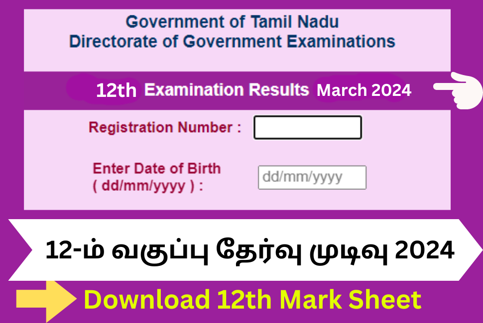 TN 12th Result 2024 Tamil nadu @ tnresults.nic.in